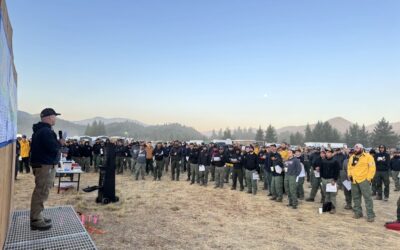 Firefighters progress on mop-up operations overnight, work continues today   
