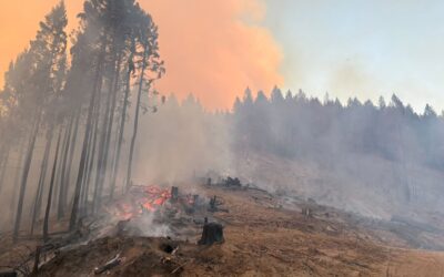 Despite challenges, overnight efforts bring West Fork Evans Creek Fire to 30% lined
