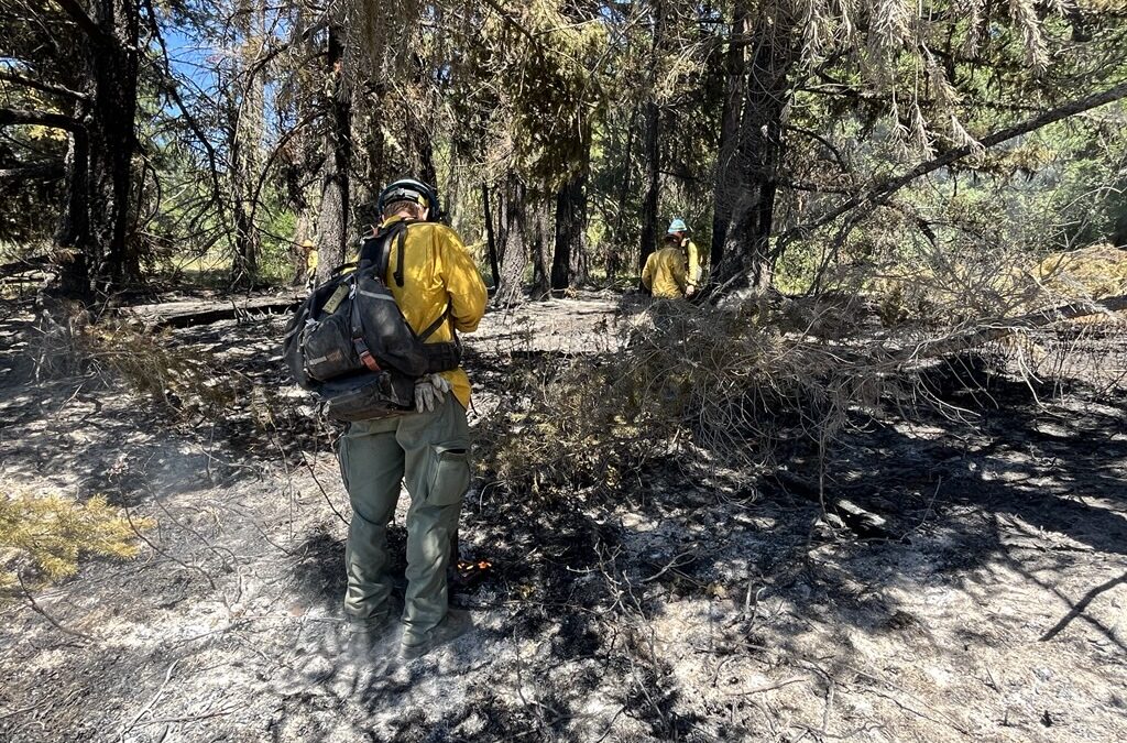 Firefighters extinguish six-acre fire overnight