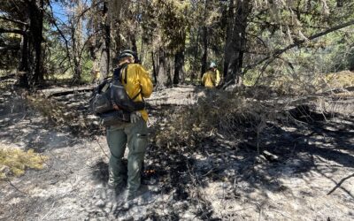 Firefighters extinguish six-acre fire overnight