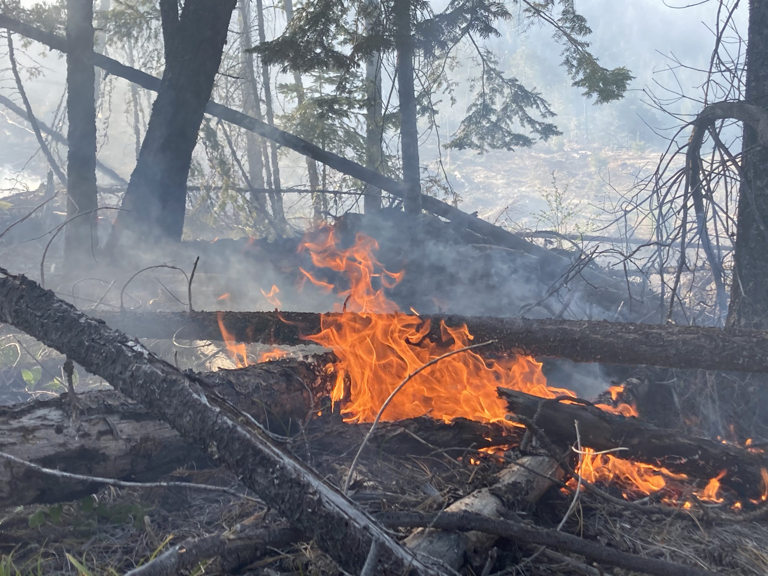 Bearwallow Ridge Fire west of Applegate Lake 100% Lined, Mop-Up Work Continues