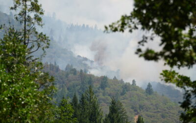 Firefighters continue an aggressive attack on the Board Shanty Fire, GPS mapped at 409 acres   