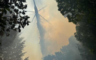 Firefighters hold lines, continue to make significant progress on the Board Shanty Fire   