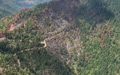 Local Type 3 team takes command of Board Shanty Fire, continues mop-up operations across incident