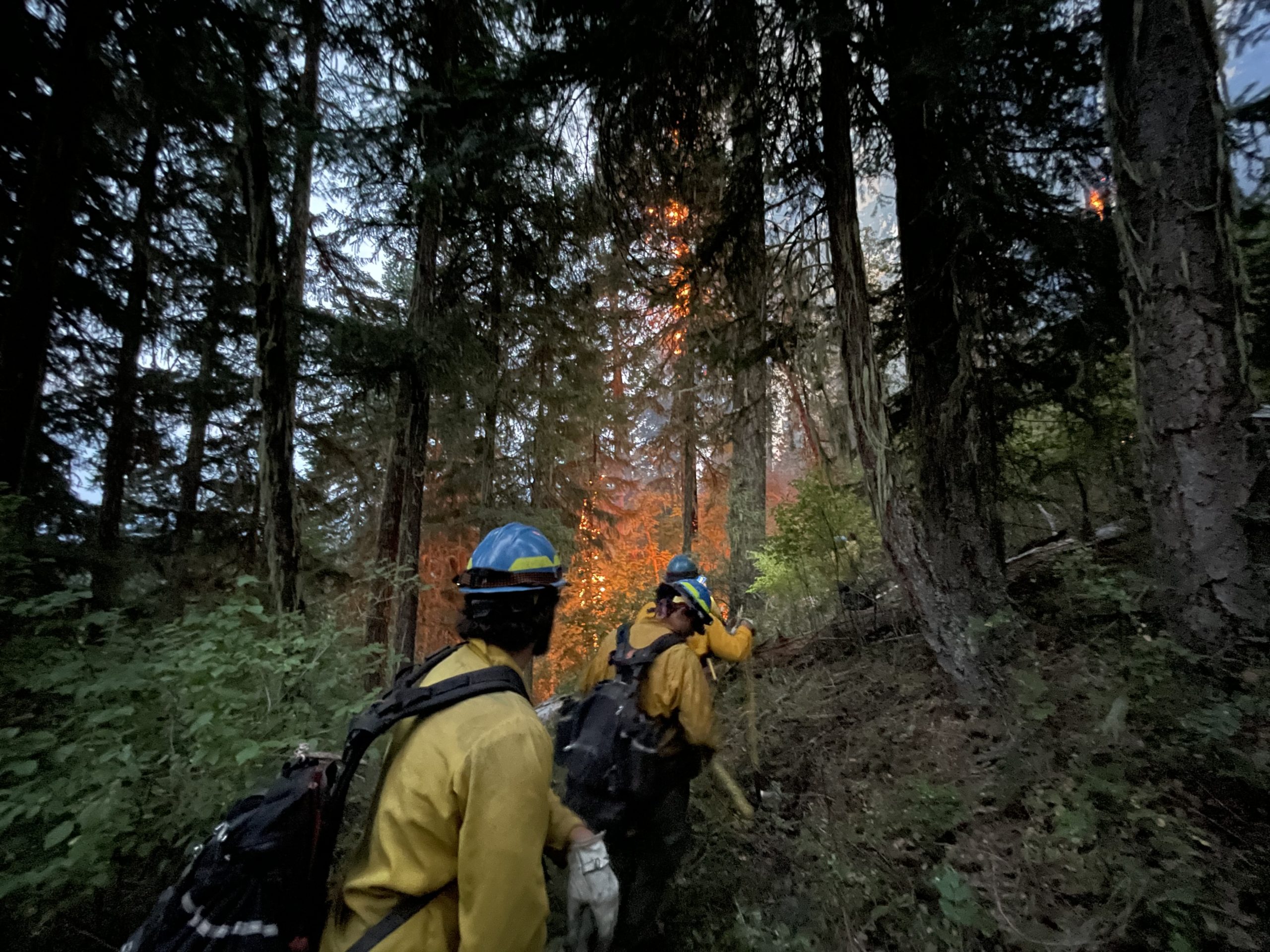 Nearly 50 Fires Reported on ODF-Protected Land From Sunday Thunderstorm in the Southwest Oregon District