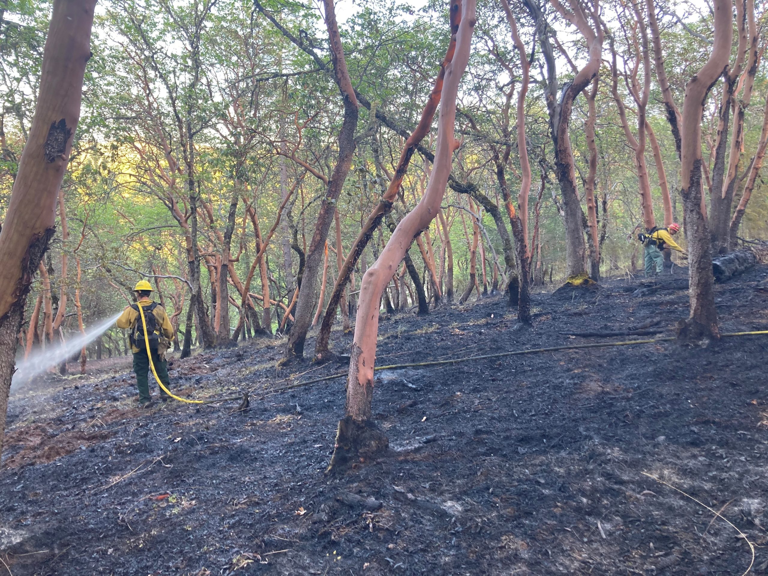 ODF Responds to Six Fires In Jackson and Josephine Counties Alongside Partner Agencies
