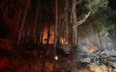 Cheney Creek Fire 100% Lined Overnight, Mop-Up Continues