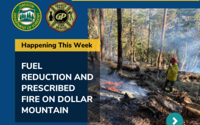 Dollar Mountain Prescribed Burn Continues, Increasing Wildfire Protection to Grants Pass and Improving Overall Forest Health