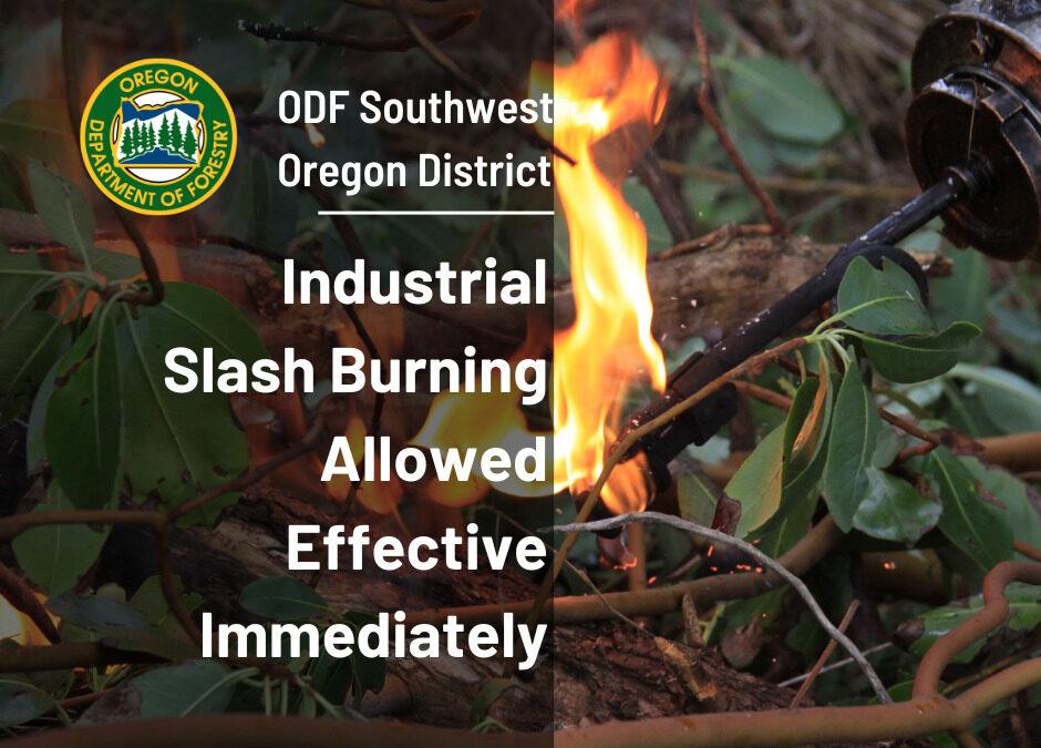Restrictions on Industrial Slash Burning Lifted, Expect Additional Burns During Cool, Wet Weather