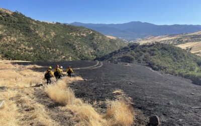 Dead Indian Memorial Road Fire 50% Mopped Up