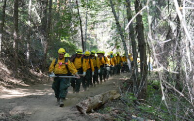 Firefighters strengthen lines despite extreme heat, officials urge public caution as fire risk increases    