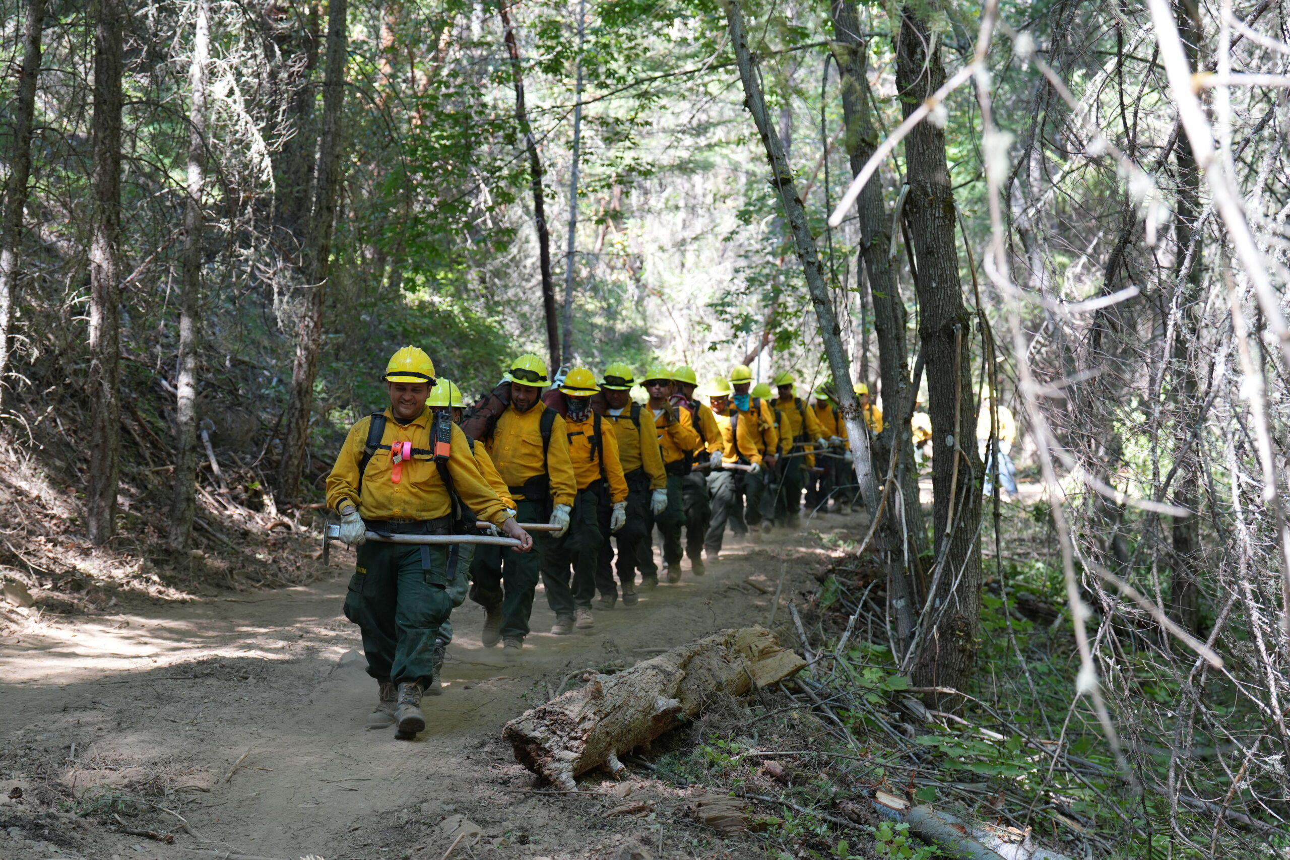 Deming Gulch Fire hand crew