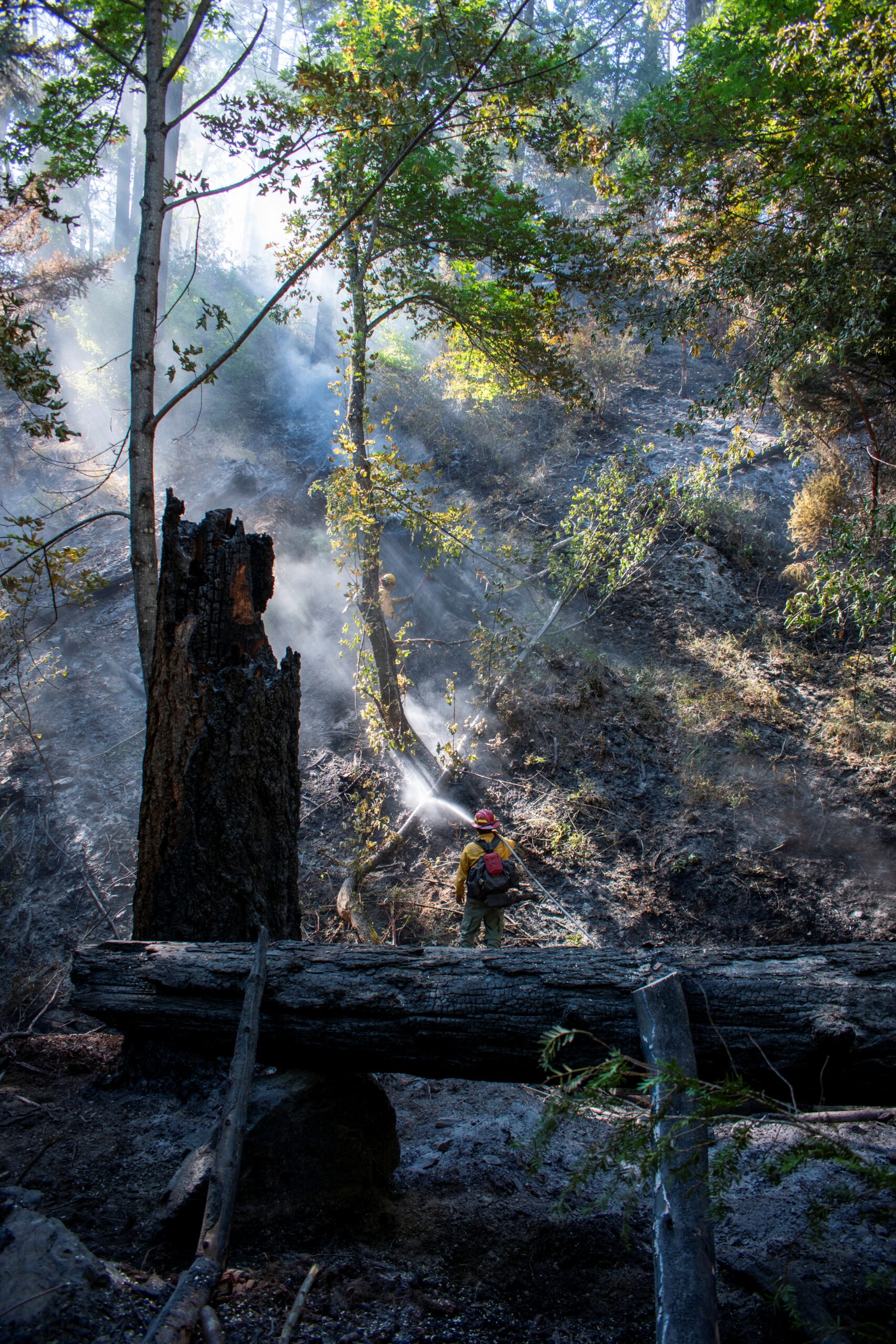 Deming Gulch Fire Mop Up