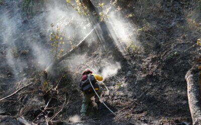 Despite excessive heat and gusty conditions, firefighters continue mopping up within fire perimeters   