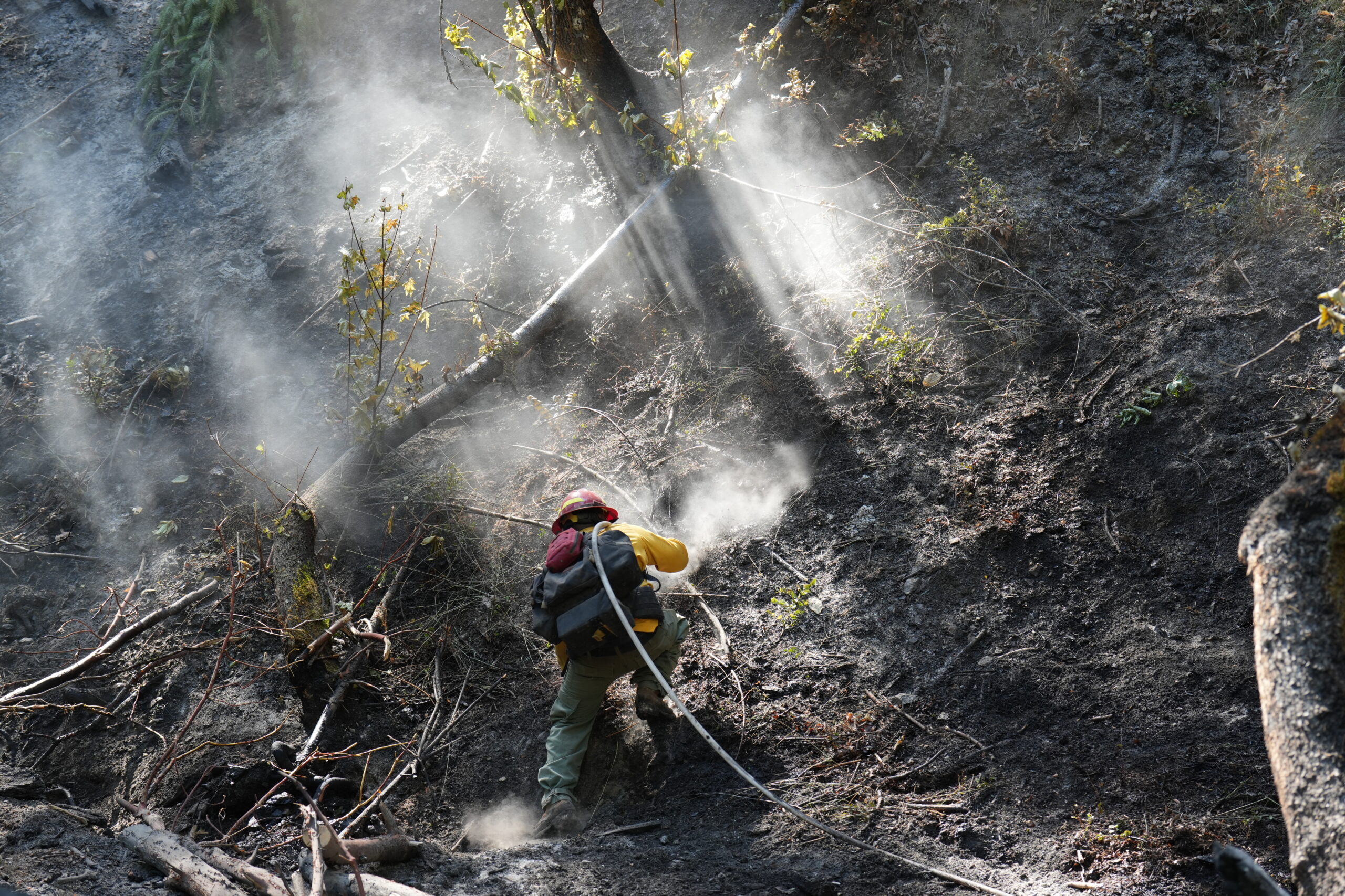 Deming Gulch Fire Mop Up