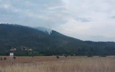 Firefighters Respond to Approximately 50 Fires Overnight Following Wednesday Thunderstorms
