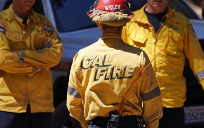 Lines hold despite excessive heat conditions; ODF CIMT 3 shares CAL FIRE resources to assist Klamath area fires   