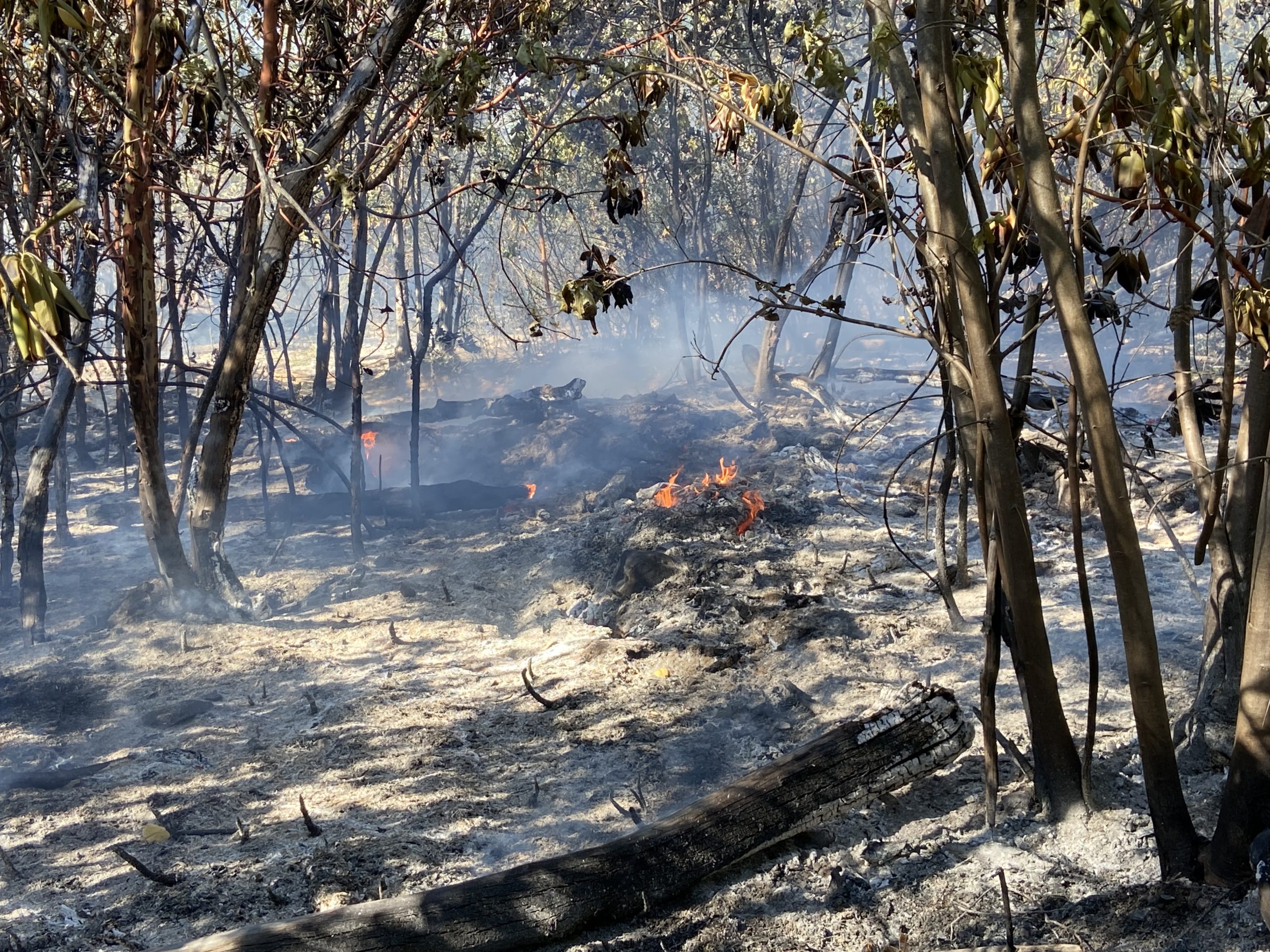 Despite Hot Temperatures and Windy Conditions, North River Road Fire 50% Contained