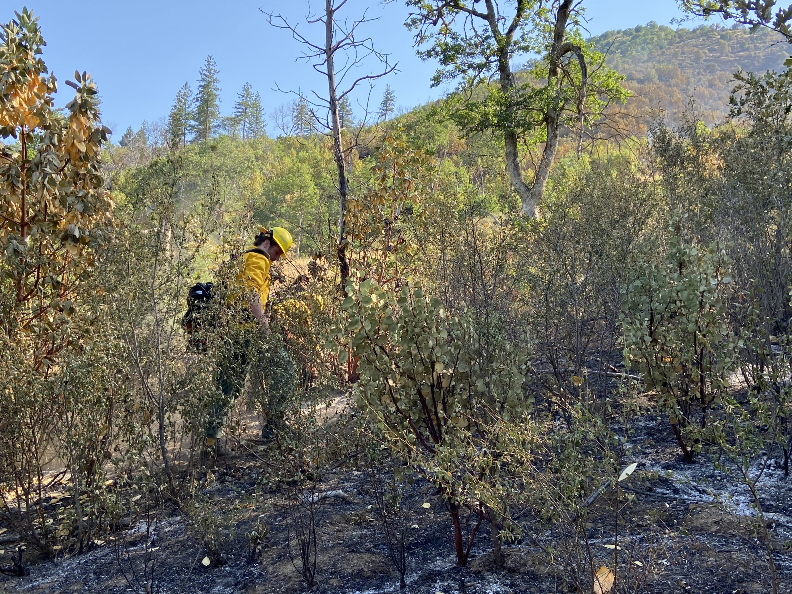 North River Road Fire 80% Contained