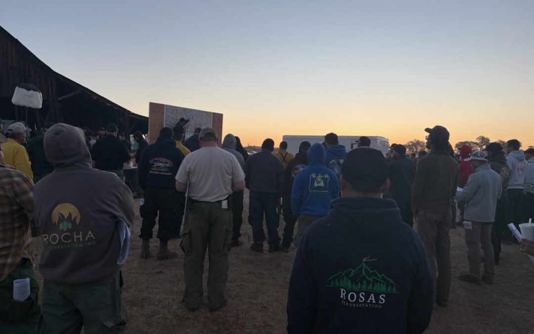 Florida Complex Incident Management Team 1 takes command of the East Evans Creek Fire