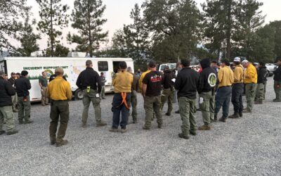 Firefighters line 100% of Woodrat Mountain Fire overnight, extensive work continues today