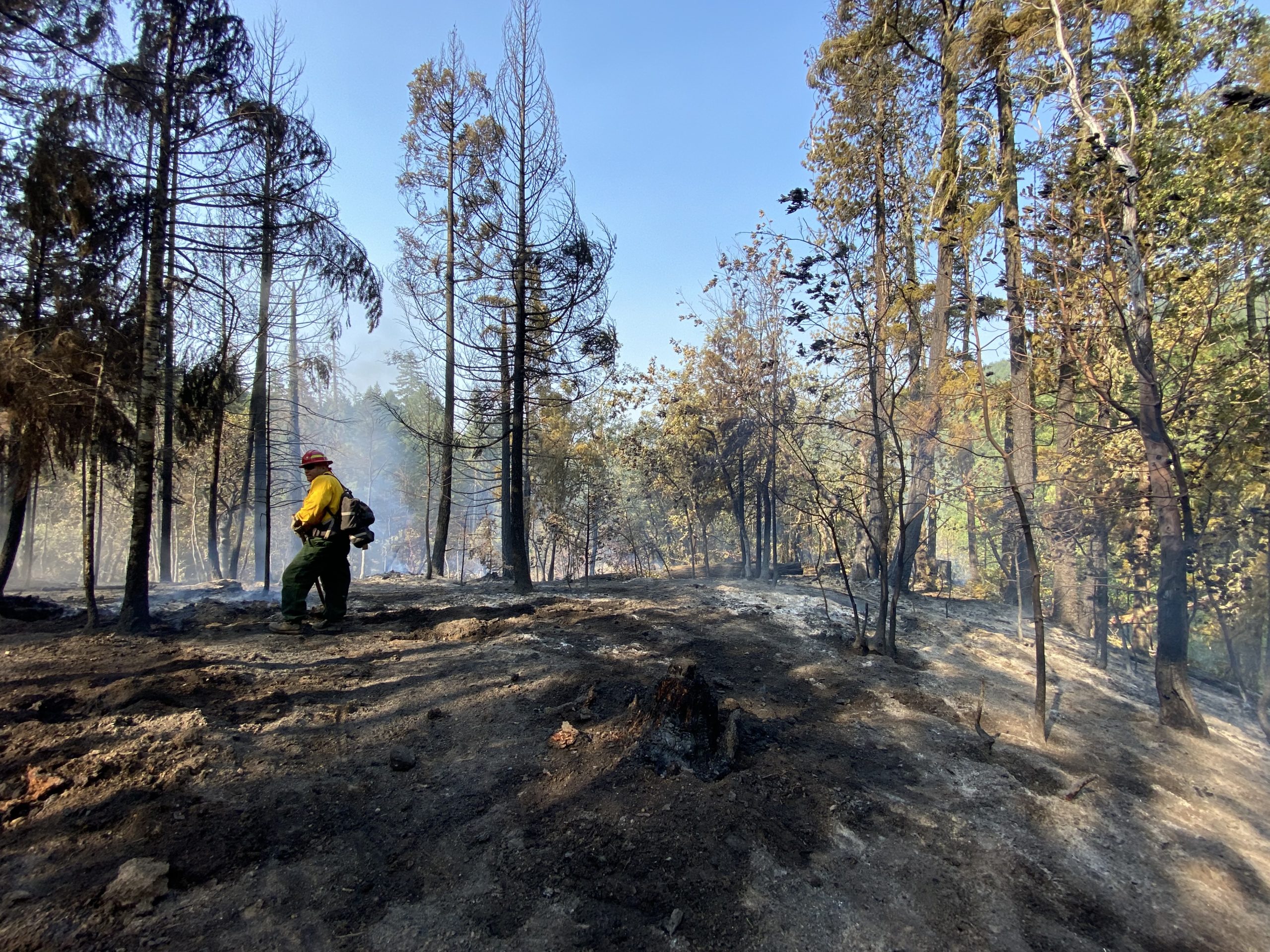 Despite Limited Resources Overnight, Redwood Highway Fire 45% Contained
