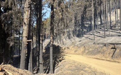 Overnight efforts strengthen entire West Fork Evans Creek Fire perimeter