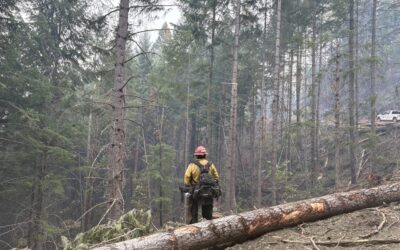 Firefighters expand mop-up efforts up to 60 feet on West Fork Evans Creek Fire