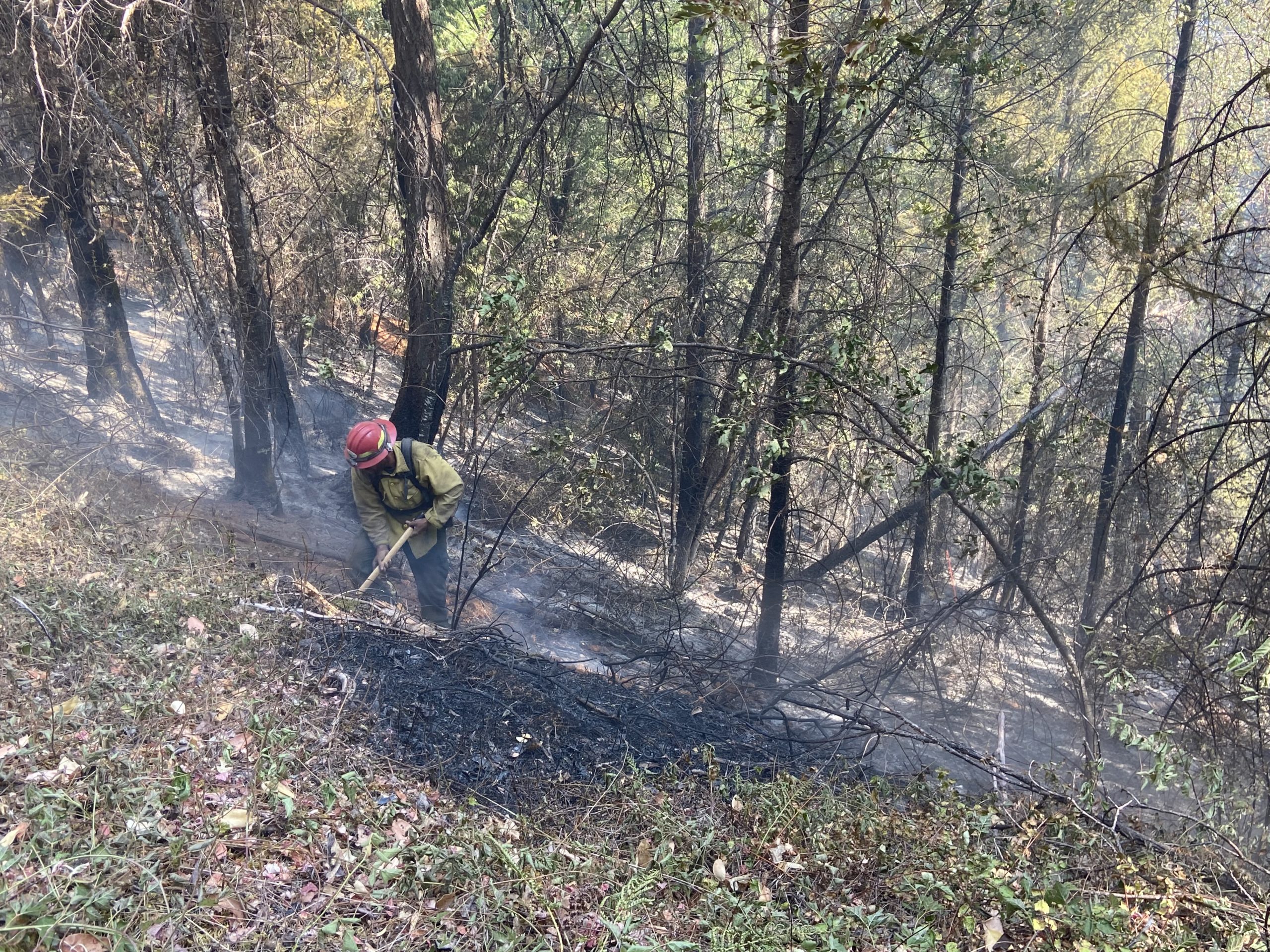 Fire Lines Hold on Fielder Creek Fire, Steady Progress Made