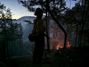 Firefighter in night operations