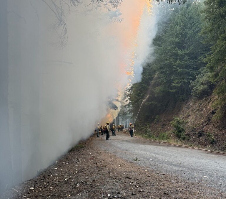 Steady progress on Kelsey Peak Fire overnight, thunderstorms prompt new fire starts in Jackson County