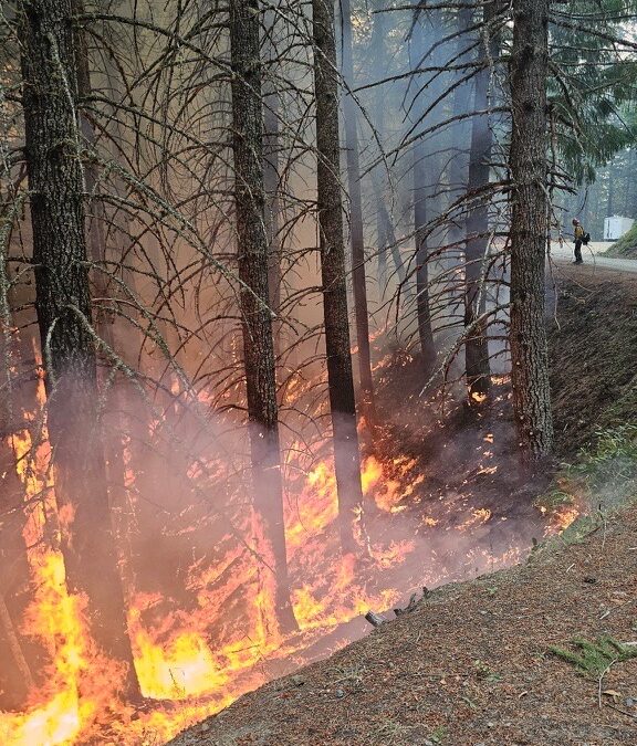 Fierce attack continues on Kelsey Peak Fire, thunderstorms in the forecast   