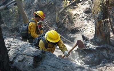 Board Shanty Fire 100% lined, mop-up operations continue