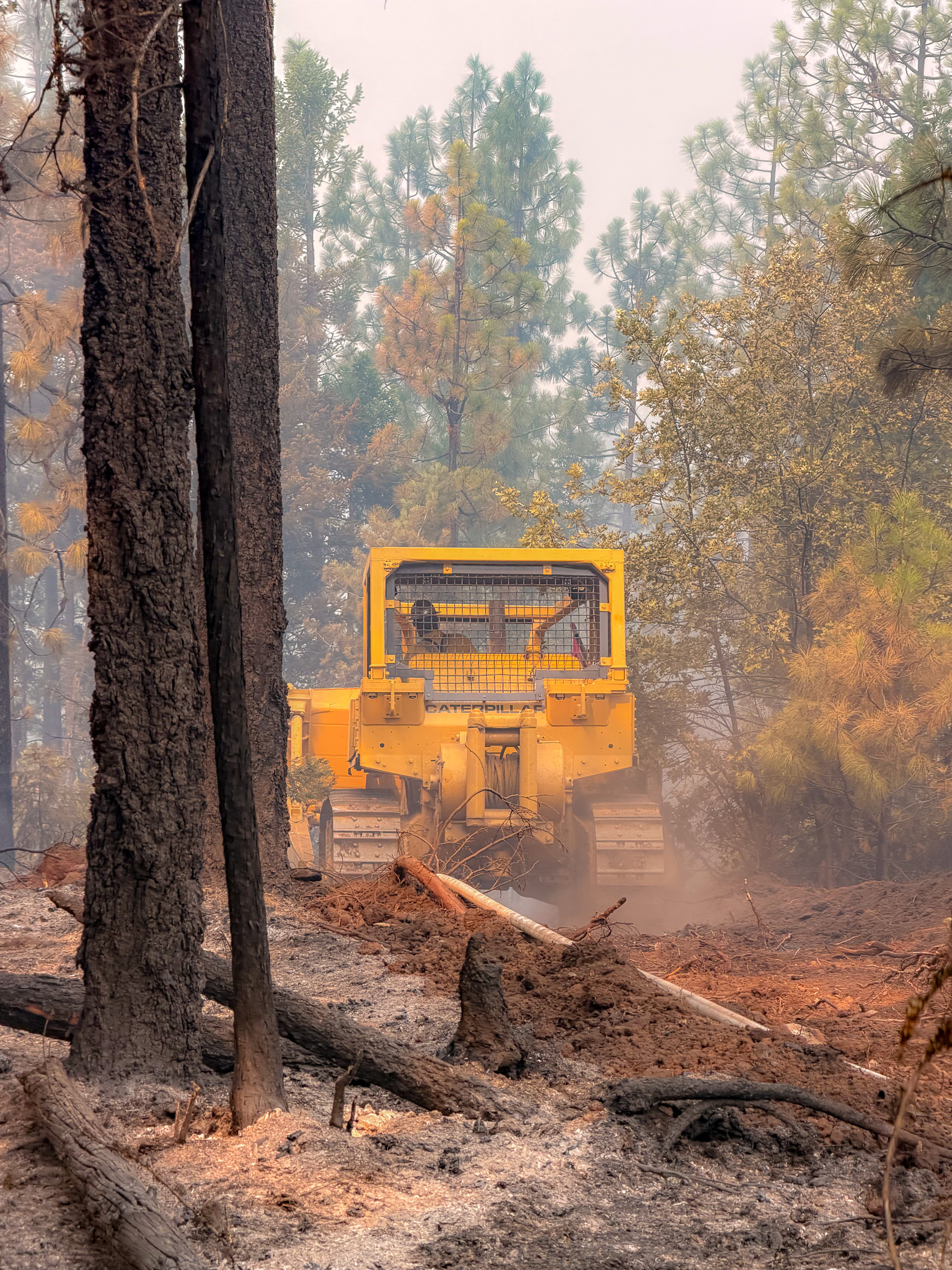 Photos_07182026_divOdozer_OR-711S-000039