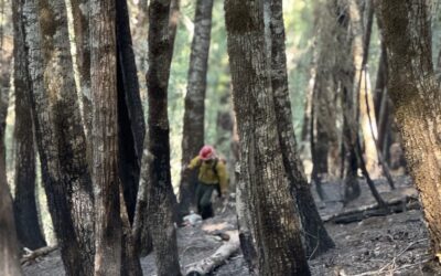 ODF Team 1 prepares to transition Kelsey Peak Fire back to local Type 3 Team