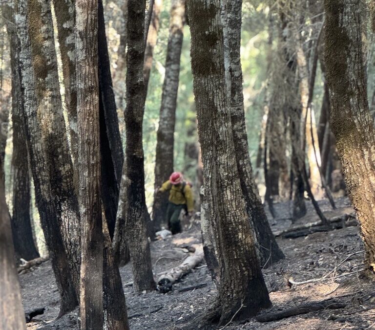ODF Team 1 prepares to transition Kelsey Peak Fire back to local Type 3 Team
