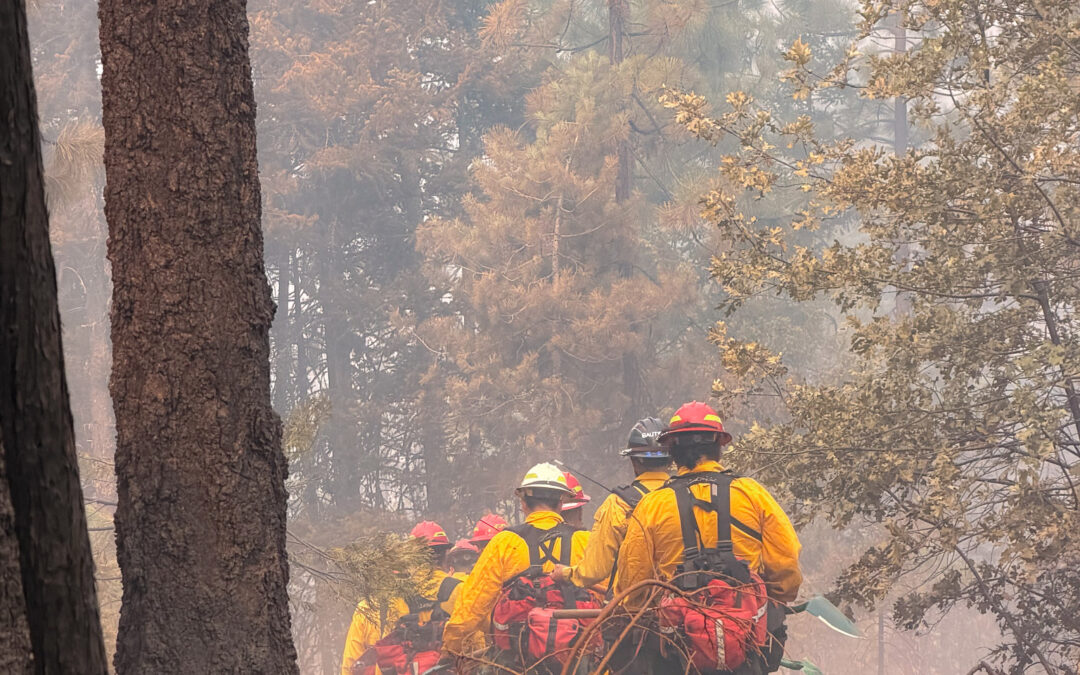 Aggressive Suppression Efforts Continue Through Critical Fire Weather