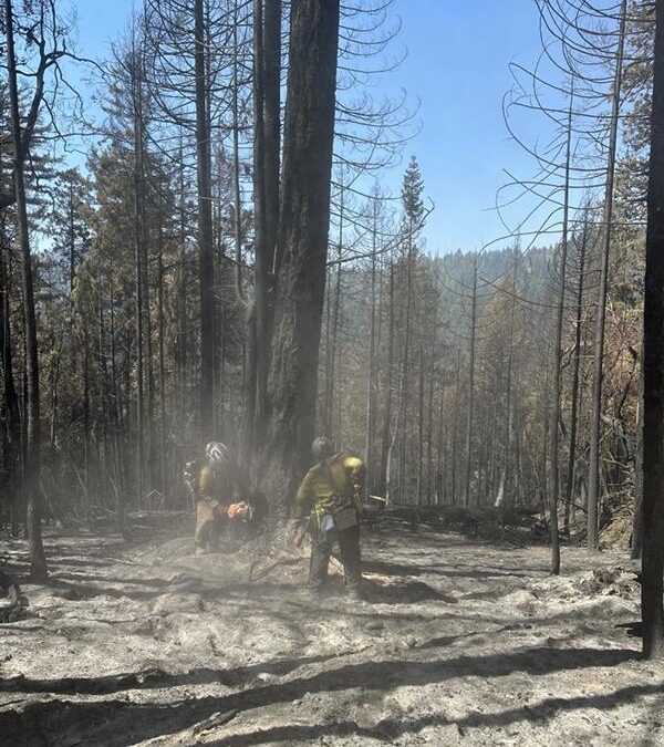 Steady progress on East Evans Creek Fire increases containment