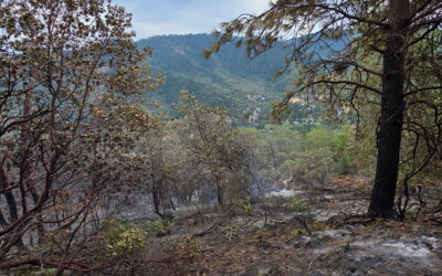 Firefighting efforts help increase containment on Fielder Mountain Fire