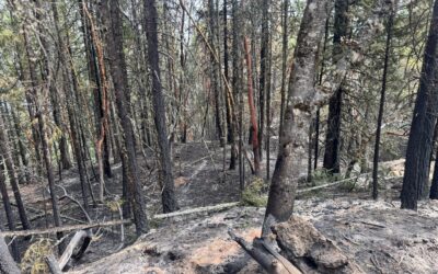Fielder Mountain Fire 72% contained, repair and mop-up operations continue