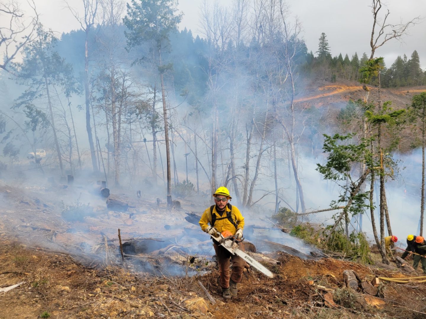 Firefighter with chainsaw in a burned area