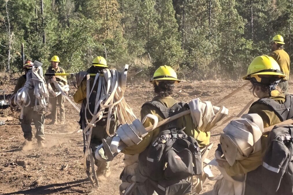 Mop up and suppression repair continue across East Evans Creek Fire