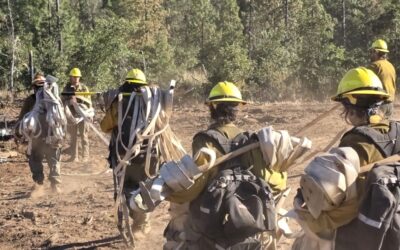 Mop up and suppression repair continue across East Evans Creek Fire