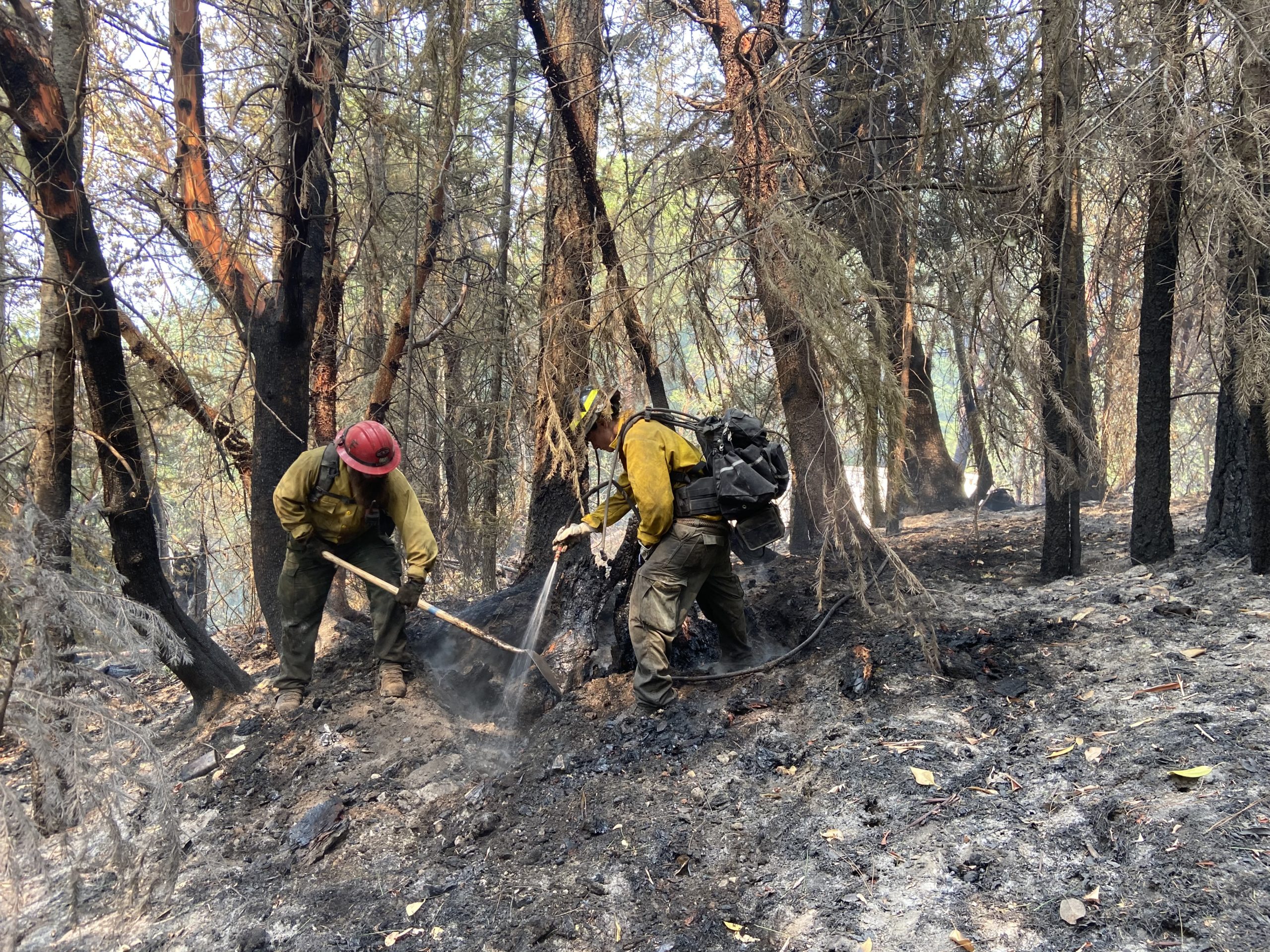 Perimeter Lines Strengthened as Firefighters Continue to Increase Containment