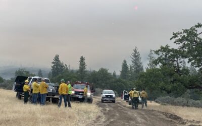 Firefighters Make Good Progress on Salt Creek Fire Overnight