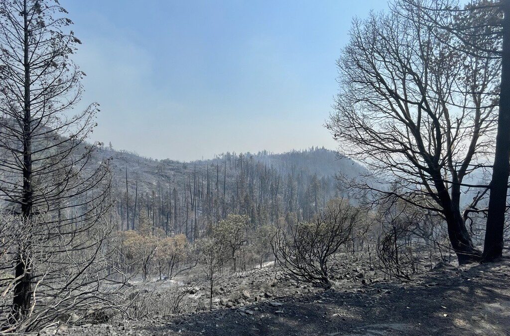 Firefighters minimize new growth on Salt Creek Fire despite hot, windy conditions monday