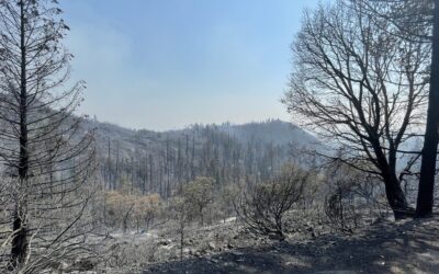 Firefighters minimize new growth on Salt Creek Fire despite hot, windy conditions monday