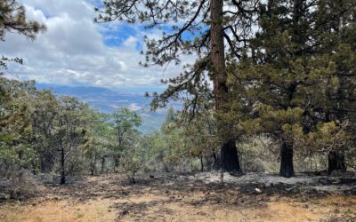 Skookum Creek Fire 100% Lined and Mopped Up, All Weekend Lightning Fires Extinguished on the ODF Southwest Oregon District