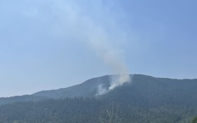 All New Lightning-Caused Fires on ODF Southwest Oregon-Protected Land 100% Lined