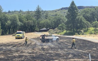 Firefighters extinguish 11 small fires along Table Rock Road   